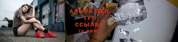 стаф Белокуриха