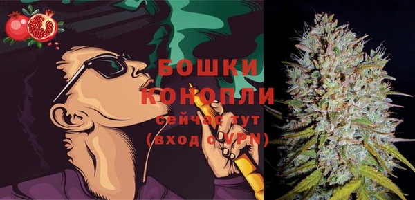 стаф Белокуриха